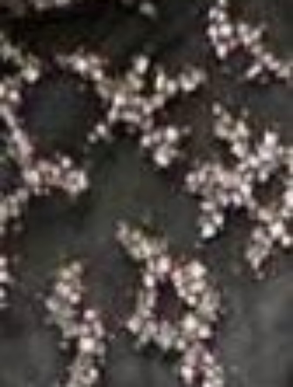 $10,000 OSCAR LA RENTA BLACK OSTRIC FEATHER SEQUIN CRYSTAL BEADS RUNWAY GOWN L - Picture 6 of 10